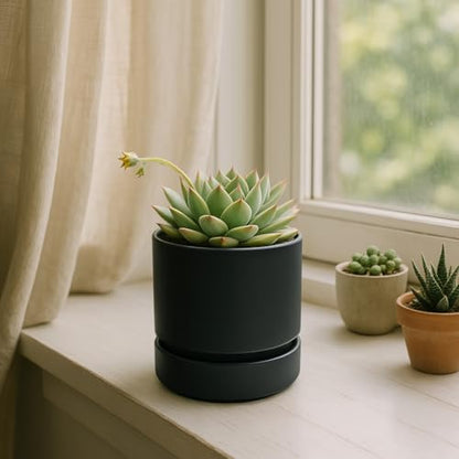 Phoenix Vine 4 Inch Planter Pot with Drainage Hole & Saucer, Deep Water Catch Tray, Straight Cylindrical Round Pot for Plants, Matte Black, Pack of 4, 23-C-R-4 - color: Matte Black, size: 4" (4 Pack)