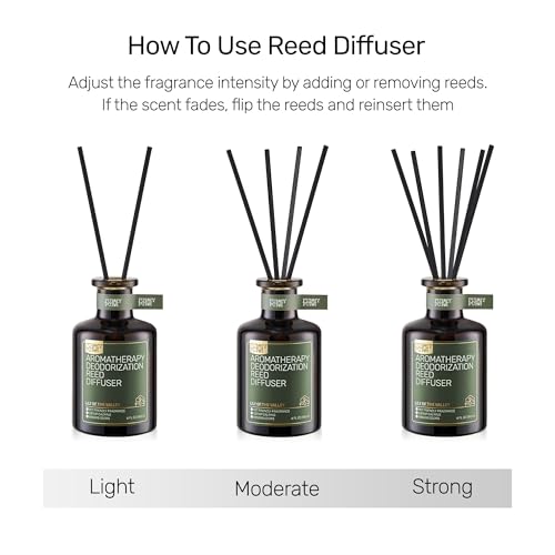 Reed Diffuser for Pet Odor Elimination, Lavender Cedar, Non-Toxic & Pet-Friendly Air Freshening, 6 Oz