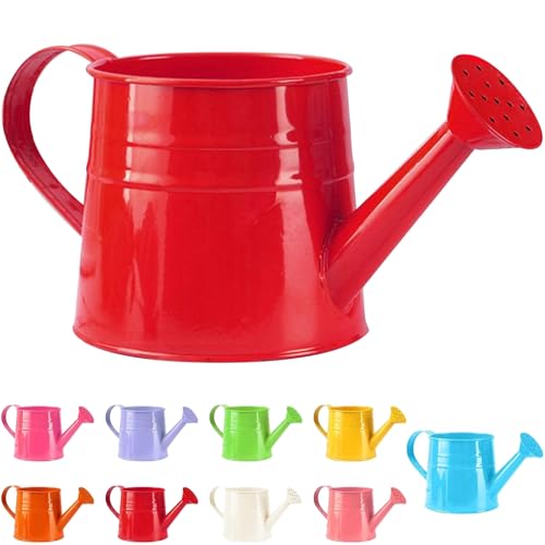 Tinplate Watering Kettle 1L, Mini Metal Watering Can with Long Spout and Handle, Vintage Flower Sprinkling Can for Indoor Plants, Patio and Garden Use (Red-B07) - color: Red-b07