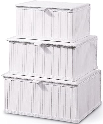 Honygebia Bamboo Decorative Storage Boxes - Set of 3 Woven Lined Storage Basket with Lids, White Wicker Lidded Baskets for Home Kitchen Shelf Organizer Decor - color: Pure White