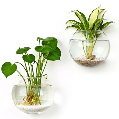 DomeStar Set of 2 Wall Vases, Wall Mounted Propagation Station | Hanging Glass Vases, Terrarium Station for Hydroponics, Plants Home Office Decor (5 Inch) - size: 2pcs