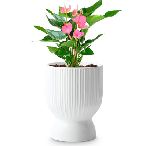 OXART 5.6 Inch Plant Pot, Ceramic Planters for Indoor Plants, Large Indoor Plant Pot with Drainage Holes, Flower Pots, Decorative Pots for Flowers & Herbs, White