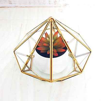 Handmade Gold Open Glass Geometric Terrarium Brass Succulent Fern Moss Plant Display Container Balcony Small