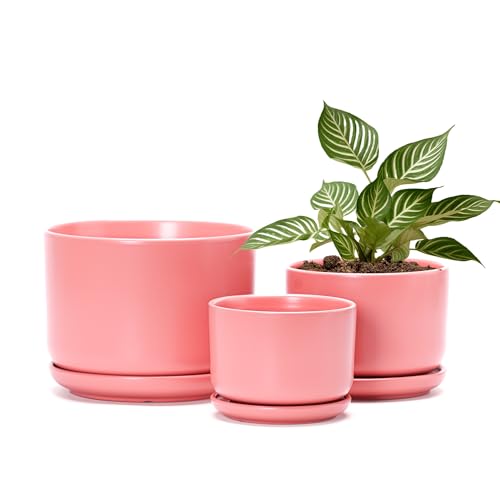 Ceramic Plant Pots,Planters with Drainage Hole&Saucer 3 Pack(Matte Orange) | Ceramic Pots for Plants | Modern Indoor Plant Pots for Cactus | Decorative Small Flower Pots | 4+5+6.5 Inch Planting Pots - color: Matte Orange
