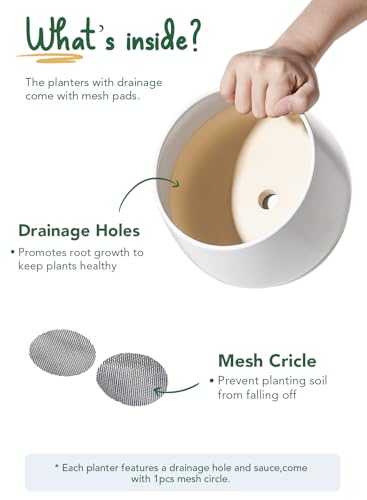 LE TAUCI Ceramic Plant Pots, 4.1+5.1+6.5 inch, Set of 3, Planters with Drainage Hole and Saucer, Indoor Flower Pot with Hole Mesh Pad, Gifts for Mom, White - color: White