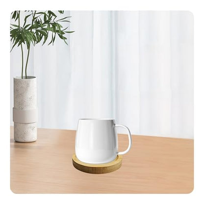 6Pcs 2.5” Bamboo Plant Saucer, Round Pot Tray for Indoor Planters, Succulent Holder Drainage Tray, Versatile Coaster Set for Home Office Decor - size: 2.5”