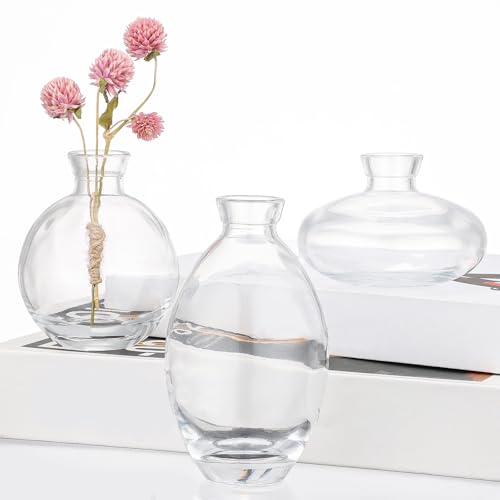 Suream Bud Vases Set of 3, Clear Small Vases for Flowers, Glass Vase for Table Centerpieces, Christmas, Wedding, Party, Events Decor - color: Clear