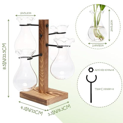 Plants Propagation Stations Bulb Glass Propagation Birthday Gift for Women | Garden Plant Lovers - 4 Bulb - color: Transparent