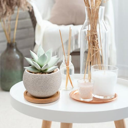 6 Pack Ceramic Succulent Pots with Drainage – Small Round Planters for Indoor Plants & Cactus, Mini Flower Pots with Bamboo Trays, Desk & Home Décor, Gift for Plant Lovers, Office, Balcony, Garden - style: Round