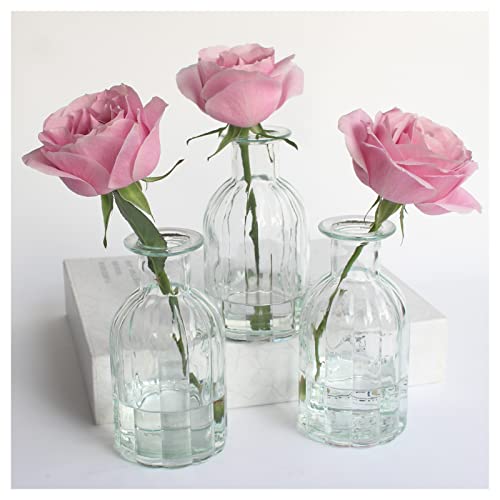 3 Sets Clear Glass Vase for Flowers Small Bud Vase for Decor | Bud Vases in Bulk for Centerpieces, Home Decorative Vase Set Round Vintage Glass Bottles, 2.85"X 5.4" - size: 3 Pcs