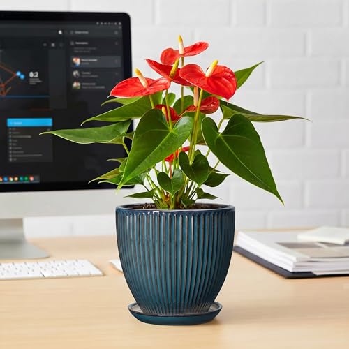 6 Inch Plant Pot, Ceramic Flower Pots for Indoor Plants, Round Planters with Drainage Hole and Saucer, Decorative Small Modern Flower Pots, Home Room Decor, House Warming Gifts, Retro Blue - size: 6 Inch, style: Retro
