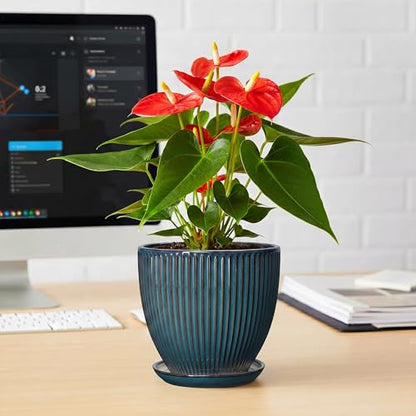 6 Inch Plant Pot, Ceramic Flower Pots for Indoor Plants, Round Planters with Drainage Hole and Saucer, Decorative Small Modern Flower Pots, Home Room Decor, House Warming Gifts, Retro Blue - size: 6 Inch, style: Retro