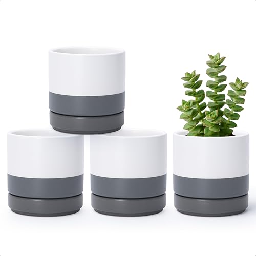 D'vine Dev 4-Pack Ceramic Pots with Saucers, White/Grey, 4.7 in, 94-X-B-6 | Glazed Ceramic, Drainage Hole and Saucer, Sleek Cylinder Shape, High Temperature Fired, Ideal for Small Houseplants - color: White/Speckled Grey, size: 4.7 Inch