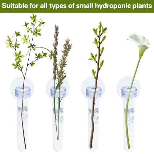 6 PCS Window Propagation Stations, Clear Plastic Plant Propagation Tubes with Suction Cups, Wall Hanging Terrarium Water Plant Holders for Home & Office Decor, Easy to Install