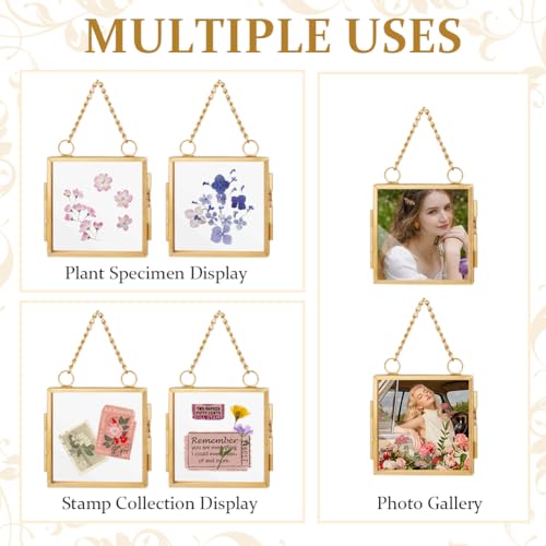 OLYCRAFT 6Pcs 2.1x2.1 Inch Gold Mini Glass Hanging Frame with Chain | Metal Picture Frames, Double Glass Floating Frames, Wall Hanging Artwork Display Frame for Pressed Flowers Leaf and Artwork - size: 2.1x2.1 Inch