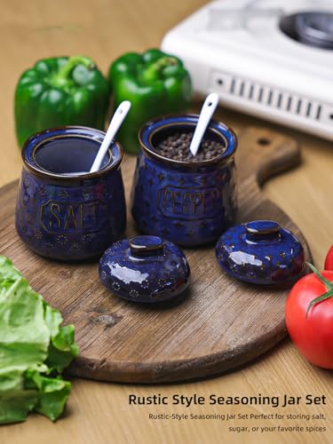 GDCZ 10 Oz Ceramic Salt and Pepper Bowls Set with Lid and Spoons (Blue) | Convenient Set of 2 for Kitchen, Includes Lids & Matching Spoons, 10oz Capacity, Embossed Texture - color: Blue