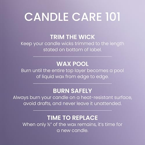 Yankee Candle Dried Lavender & Oak, Scented Candle, 22oz Large Jar with up to 150 Hour Burn Time, Giftable, Birthdays - color: Dried Lavender & Oak, size: Large Jar