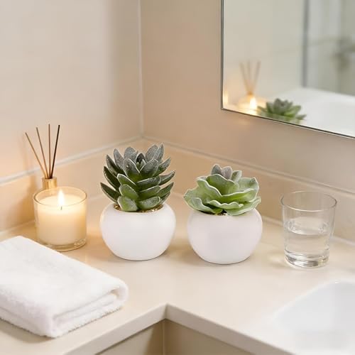 GREENTIME 6 Pcs Artificial Succulents in Ceramic Pots Small Fake Plants | Mini Faux Succulents Zero Maintenance for Indoor Bathroom Office Desk Bedroom Living Room Table Shelf Kitchen Windowsill - color: Green-white Round Pot