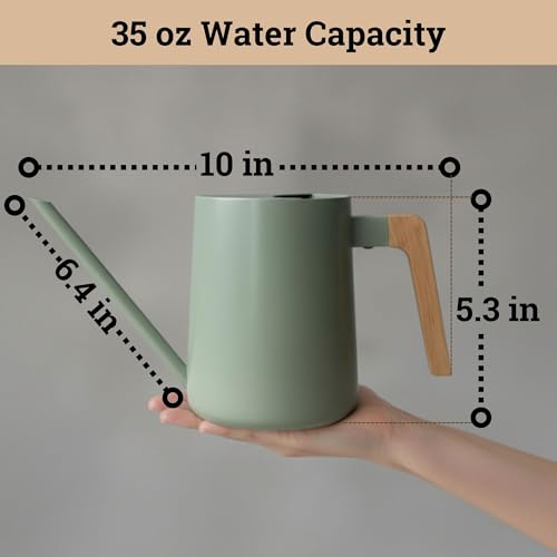Metal Small Indoor Watering Can with Long Spout & Real Wood Handle, 35oz | Long Spout, Stainless Steel, Real Wood Handle, Gentle Flow, No Spills, Suitable for House Plants, Succulents & Seedlings - color: Sage Green