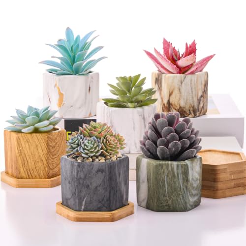 Marbling Ceramic Flower Pot Succulent Small Plant Cactus Herbs Planter Ceramic Pot with Drainage Hole Matte Container(6 Pcs,Hexagon Style) - style: Hexagon Style