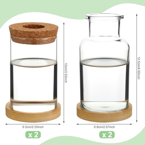 Layhit 4 Pcs Plants Propagation Stations vases Glass Planters with Wooden Lid and Bamboo Stand for Hydroponic Plants Gardening Gifts for Women Mom Home Office Tabletop Decoration(Wide Mouth Style) - style: Beautiful Home Decorations