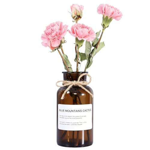 6.38 Inch 17oz Clear Glass Vase, Wide Mouth Flower Vase with Hemp Rope | Thickened Glass Body, Natural Hemp Rope, Smooth Wide Mouth, Stable Base, DIY Sticker Included, 2 Color Options - color: Amber