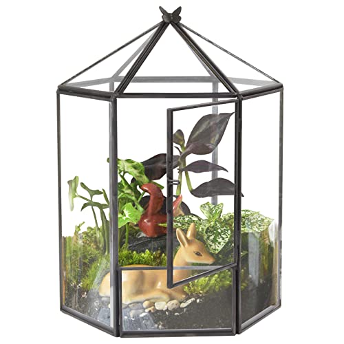 ELEGANTLIFE Glass Geometric Plant Terrarium,Succulent & Air Planter for Home Garden Office Decoration,No Plants(Black Hexagonal) - color: Black Hexagonal
