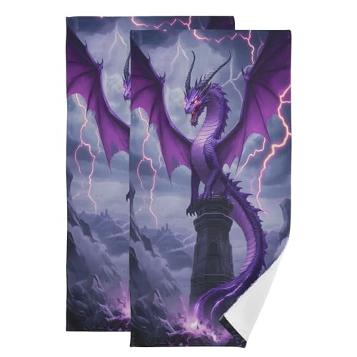 ALAZA Hand Towels for Bathroom Set of 2, Purple Dragon Lightning Ultra Soft and Absorbent Fingertip Towels & Face Cloths, 28 x 14 inch - color: Multicolor01