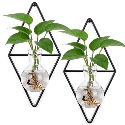 2 Pack Wall Hanging Glass Vase with Metal Frame, Wall Mounted Plant Propagation Station, Diamond Shape Hydroponic Glass Planters with Iron Holder and Screws for Indoor Decor (Black)
