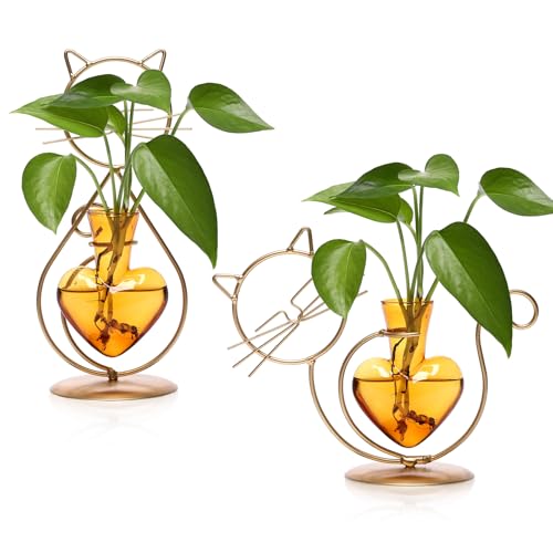 Plant Terrarium Propagation Station Gifts for Women Cat Lover | Plant Lovers Home Office Decor Cat Desk Accessories - color: Gold Amber