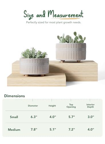 LE TAUCI Succulent Pots, 6.5+8 Inch Ceramic Indoor Plant Pot with Drainage Hole, Shallow Round Succulent Planters, Set of 2, Reactive Glaze Star White - color: Reactive Glaze Star White