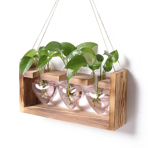 Plant Terrarium Propagation Stations Hydroponics | Home Garden Decoration Gift for Women with Wooden Stand Heart Shaped Colored Glass Vase - color: Pink