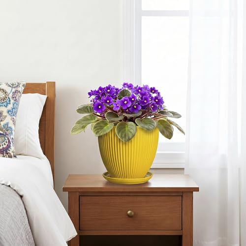 6 Inch Plant Pot, Ceramic Planter with Drainage Hole and Saucer, Decorative Small Plant Pots for Indoor Plants, Modern Round Flower Pot, Home Office Room Decor, House Warming Gifts, Yellow - size: 6 Inch, style: Yellow