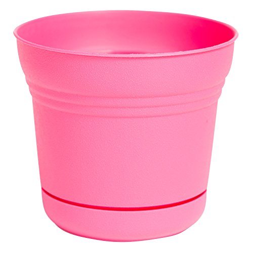 Bloem Saturn Planter with Saucer, 5", Amaranth (SP0522) - color: Amaranth, size: 5"