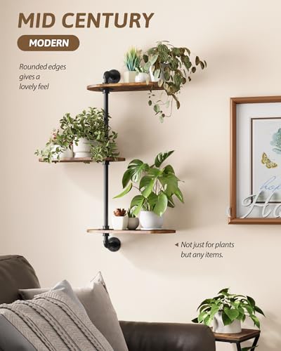 GENTINGBRO Window Plant Shelves 3-Tier Rotating Plant Stand Industrial Window Plant Shelf Wood - color: Black, size: Large