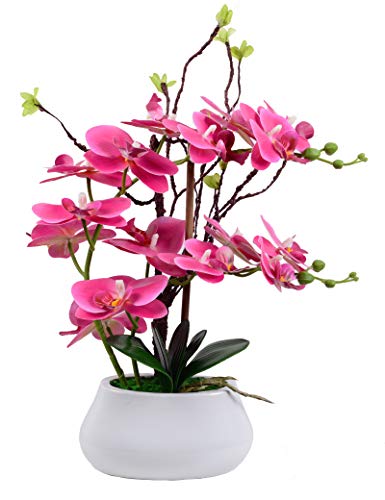 W&W Artificial Orchid Plants and Flowers with Vase, Fake Faux Orchid in Ceramic Pot,17”, Fuchsia - color: Fuchsia 02