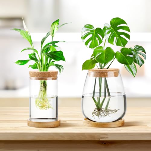 Layhit 4 Pcs Plants Propagation Stations vases Glass Planters with Wooden Lid and Bamboo Stand for Hydroponic Plants Gardening Gifts for Women Mom Home Office Tabletop Decoration(Classic Style) - style: Classic