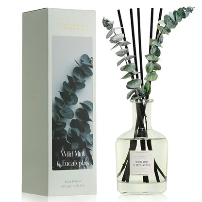 Wild Mint & Eucalyptus Reed Diffuser, 6.76 oz | Real Dried Eucalyptus Leaves, 8 Reeds, Long-Lasting Essential Oil, Home Fragrance, Bedroom or Bathroom Décor - size: Eucalyptus/6.76 Ounce/1 pack