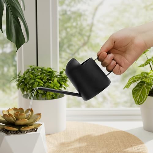 Bamworld Small Watering Can Indoor Outdoor Plant Black Metal Stainless Steel Long Spoutt Flowers Watering Cans for House Garden Plants 10OZ Watering Bottle Cute Decorative for Bonsai - color: Matte Black
