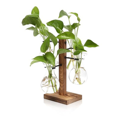 Plants Propagation Stations Bulb Glass Propagation Birthday Gift for Women | Garden Plant Lovers - 4 Bulb - color: Transparent