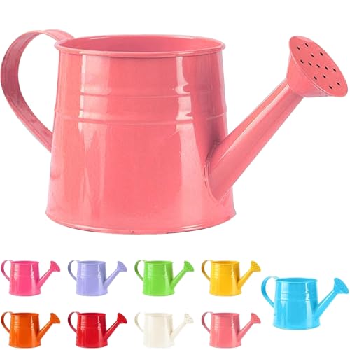 Tinplate Watering Kettle 1L, Mini Metal Watering Can with Long Spout and Handle, Vintage Flower Sprinkling Can for Indoor Plants, Patio and Garden Use (Pink-B02) - color: Pink-b02