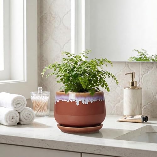 Ceramic Plant Pot - 6 Inch Planters for Indoor Plants, Round Ceramic Planter with Drainage Hole and Saucer, Decorative Small Plant Pots, Room Bookshelf Decor, Red-Purple - size: 6 Inch, style: Red-purple