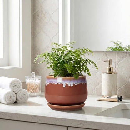 Ceramic Plant Pot - 6 Inch Planters for Indoor Plants, Round Ceramic Planter with Drainage Hole and Saucer, Decorative Small Plant Pots, Room Bookshelf Decor, Red-Purple - size: 6 Inch, style: Red-purple