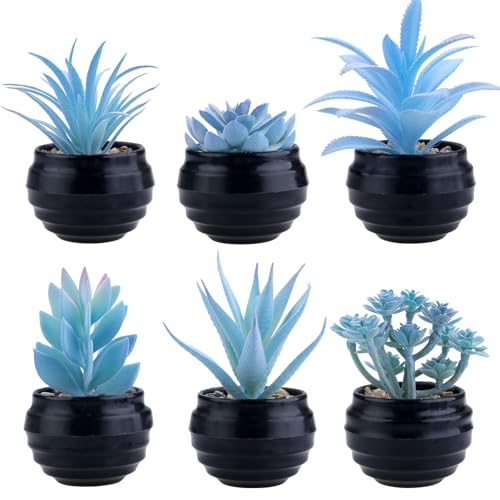 GREENTIME 6Pcs Blue Artificial Succulents in Plastic Pots Fake Plants | Zero Maintenance Small Faux Succulent Decor for Indoor Desk Bedroom Bathroom Office Shelf Living Room Vanity Cabinet - color: Blue-black Ribbed Pot