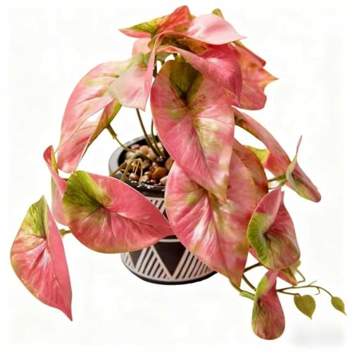 7" Artificial Red Caladium Plant in Geometric Ceramic Pot Lifelike Variegated Faux Potted House Plant 8" Wide Desk Shelf Bathroom Home Office Decor - color: Red