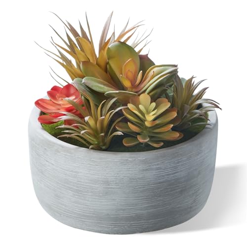 6 Inch Artificial Succulent Plants in Pots | Fake Succulents for Outdoors Indoor in Gray Ceramic Pot for Garden Office Desk Shelf Living Room Home Decor - color: Grey#1, size: 6inch