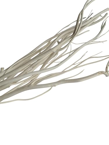 Willow Branch Diffuser Reeds, 25pcs, 10.5 inches, Natural Wooden Reed Diffuser Sticks, Decorative Branches, Essential Oil, Aromatherapy, Natural Home Decor (White)