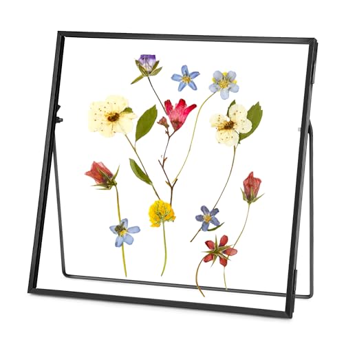 REDHUGO Double Glass Frame for Pressed Flowers, Square, Black, 6x6 Inches | Handmade, Tabletop Photo Frame for Floating Picture and Flower Press, Simple, Metal Geometric - color: Black, size: 6L" x 6W"