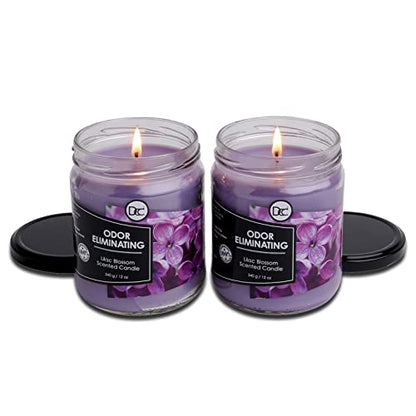 Lilac Blossom Two Pack Odor Eliminating Highly Fragranced Candle - Eliminates 95% of Pet, Smoke, Food, and Other Smells Quickly - Up to 80 Hour Burn time - 12 Ounce Premium Soy Blend - color: Lilac Blossom Twin Pack