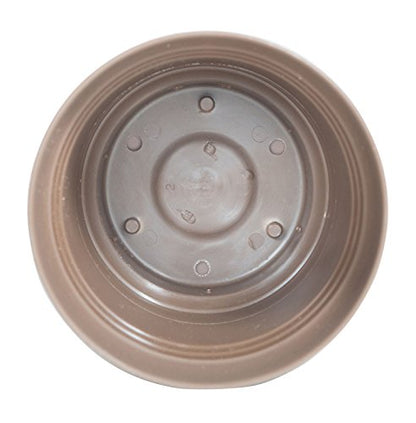 Bloem Saturn Planter with Saucer, 5", Amaranth (SP0522) - color: Amaranth, size: 5"